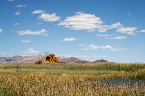 1302213948_fly-geyser-5.jpg