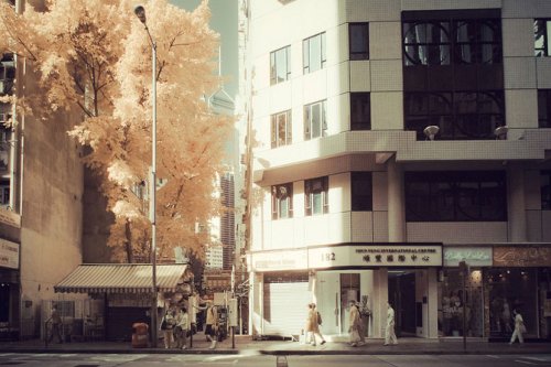 ������� � ������������ ���������