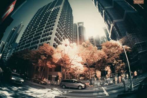 ������� � ������������ ���������