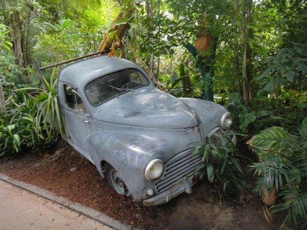 Тропический остров-курорт – самый большой в мире  крытый тропический лес