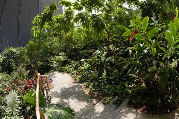 Тропический остров-курорт – самый большой в мире  крытый тропический лес