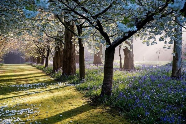 Восхитительные пейзажи частного парка Maple Glen (20 фото) Восхитительные пейзажи частного парка Maple Glen (20 фото)