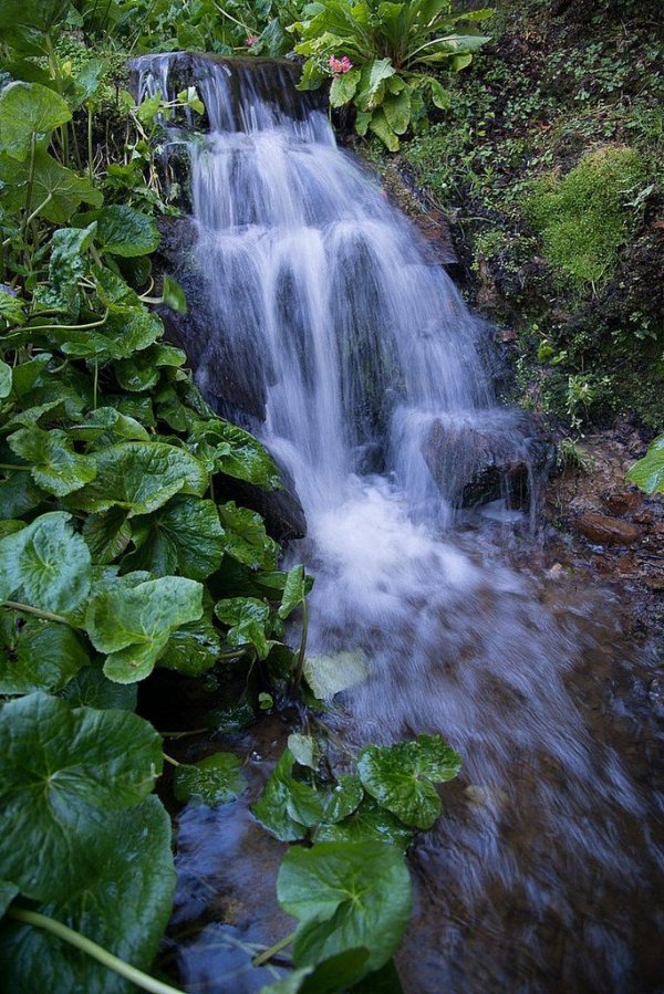 Восхитительные пейзажи частного парка Maple Glen (20 фото) Восхитительные пейзажи частного парка Maple Glen (20 фото)