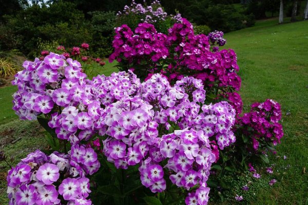 Восхитительные пейзажи частного парка Maple Glen (20 фото) Восхитительные пейзажи частного парка Maple Glen (20 фото)