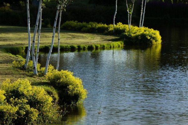 Восхитительные пейзажи частного парка Maple Glen (20 фото) Восхитительные пейзажи частного парка Maple Glen (20 фото)