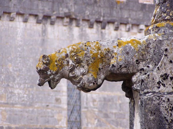 Самые интересные горгульи на архитектурных сооружениях мира (40 фото)