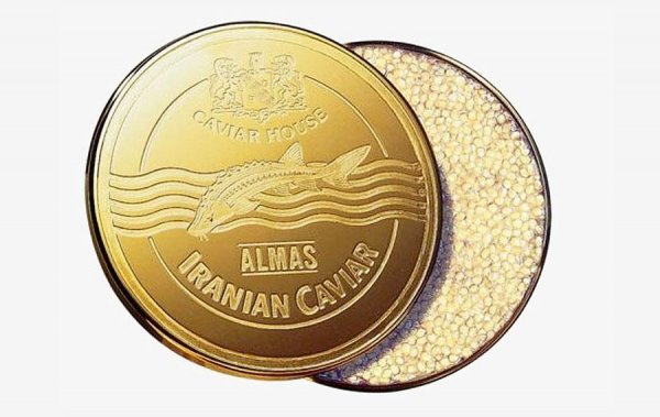 Топ-10 Самых дорогих продуктов питания