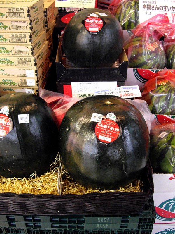 Топ-10 Самых дорогих продуктов питания