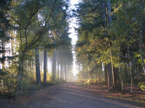 Места съёмок знаменитых фильмов (34 фото)