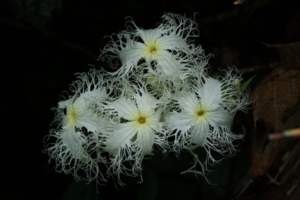 ��������� � ������������ �������� (21 ����)