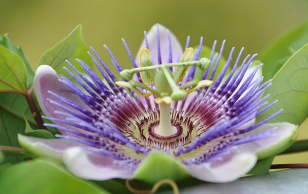 ��������� � ������������ �������� (21 ����)