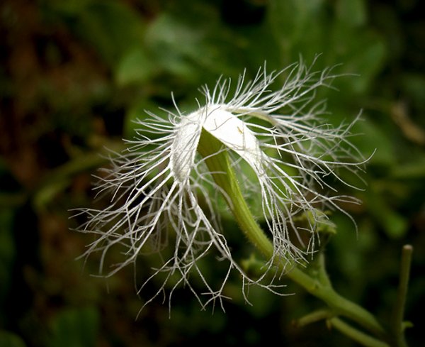 ��������� � ������������ �������� (21 ����)