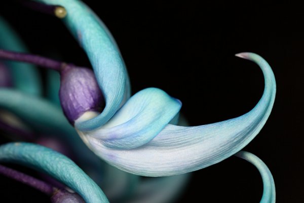 ��������� � ������������ �������� (21 ����)