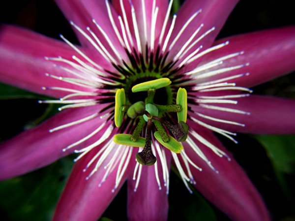 ��������� � ������������ �������� (21 ����)