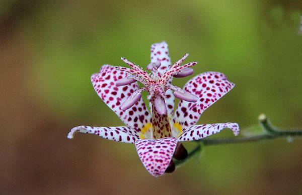 ��������� � ������������ �������� (21 ����)