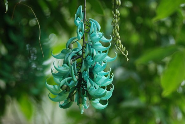 ��������� � ������������ �������� (21 ����)