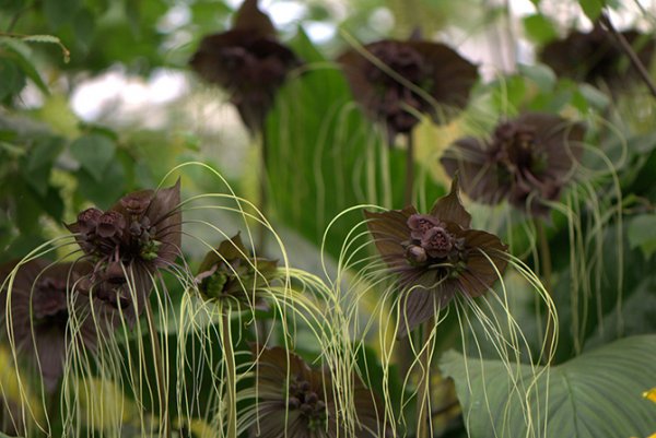 ��������� � ������������ �������� (21 ����)