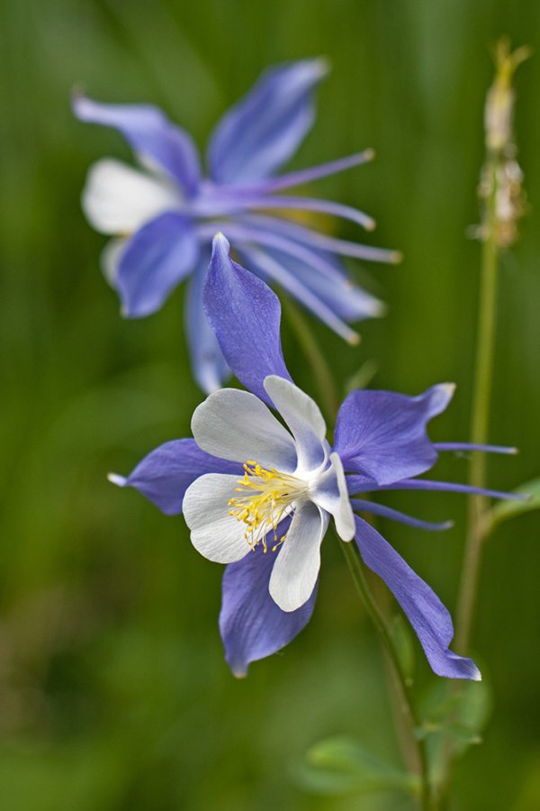 ��������� � ������������ �������� (21 ����)