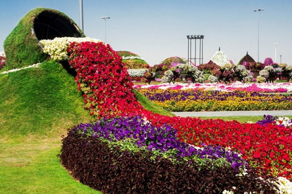 "Сад чудес" в Дубае (20 фото)