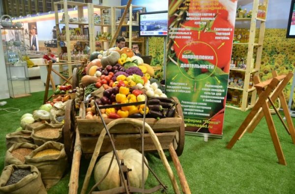 В Москве состоится презентация уникальной грибной программы